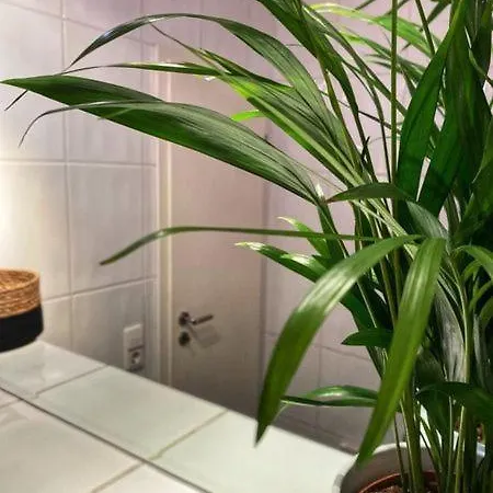 Im Herzen Von Wiedenbrueck Апартаменты